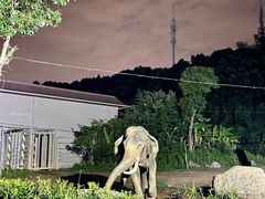 -宁波野生动物园