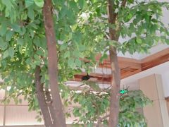 -蜜桃餐厅·伴山(湖滨商业街店)