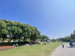 -上海滨江森林公园