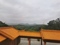 -深圳仙湖植物园