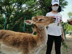 -北京麋鹿生态实验中心