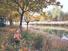 -大兴滨河森林公园