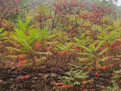 -云岫谷游猎自然风景区