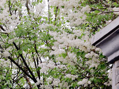 -北京鲁迅博物馆(北京新文化运动纪念馆鲁博馆区)