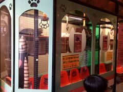 -猫咪博物馆(顶澳仔猫街店)