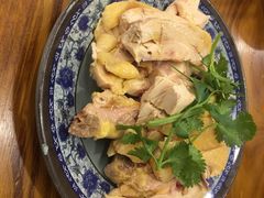 -九斤黄三黄鸡专卖店