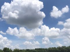 -荷塘月色湿地公园·向阳花洲