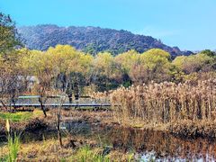 -西湖风景区-江洋畈生态公园