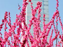 -静安雕塑公园