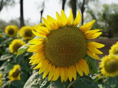 -艾溪湖湿地公园