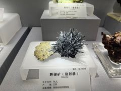 -湖南省地质博物馆