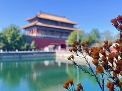 -四季民福烤鸭店(故宫店)