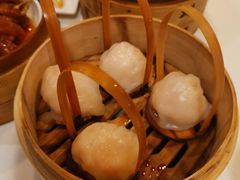 -金鼎轩(亚运村店)