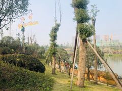 -枫香湖儿童公园