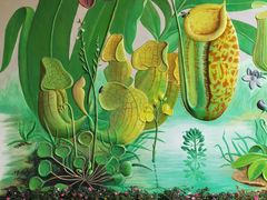 -昆明植物园