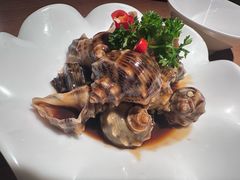 -波螺油子·海肠捞饭·青岛菜(银座店)