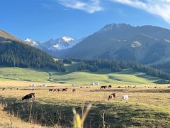 -新疆那拉提国家旅游度假区