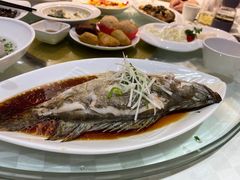 清蒸桂鱼-光明邨大酒家(淮海路店)