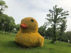 -上海都市菜园
