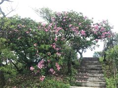 -山王坪喀斯特国家生态公园