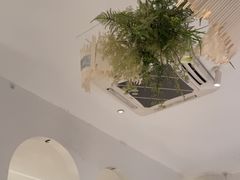 -春树下·树屋花房西餐厅(罍街AS1980店)