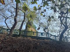 -青岛市江苏路基督教堂