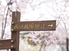 -桃花堤公园