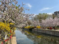 -元大都城垣遗址公园