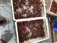 -青石桥市场北1-27号