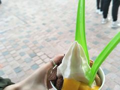 -Salud撒露欧洲冻酸奶(蓝色港湾店)