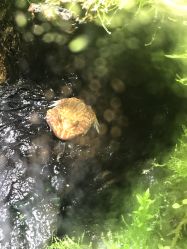 -酷嗒动物文化乐园(cutezoo西溪乐天城店)