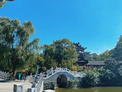 -葛仙湖公园