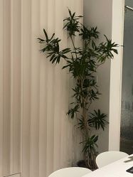 -姜美堂·蒸姜除湿の纤体美颜馆