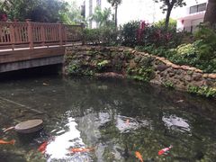 -香港大学