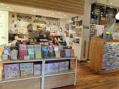 -猫的天空之城概念书店(景德镇陶溪川店)