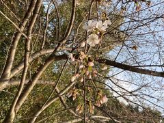 -老妈米线(港龙店)