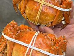 -黄记大闸蟹专卖店·活蟹·醉蟹