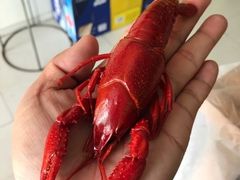 -袁老大龙虾(石鼓路总店)