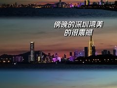 -深圳人才公园