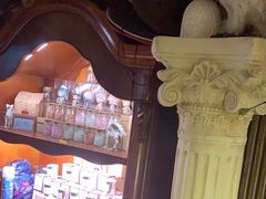 -雪灵魔法世界SHELLY’S TAROT(大良桂畔里店)