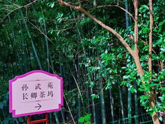 -穹窿山景区
