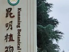 -昆明植物园