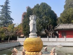 -泰山风景名胜区-普照寺