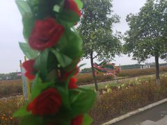 -兰陵国家农业公园