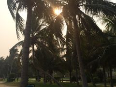 -逸廊大堂吧(三亚海棠湾万丽度假酒店)