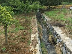 -西山樟坞健康果园枇杷杨梅采摘