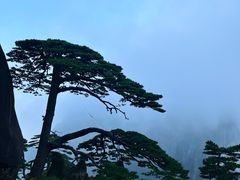 -黄山风景区