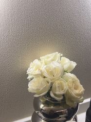 -KONSISTANT科思坦汀问题肌·科技美肤