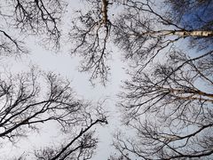 -白草畔自然风景区