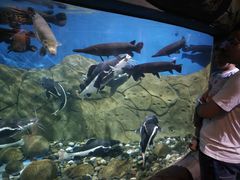 -梦幻海洋王国(吾悦广场张家港店)